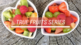 HOLY WIT E22 – True Fruits